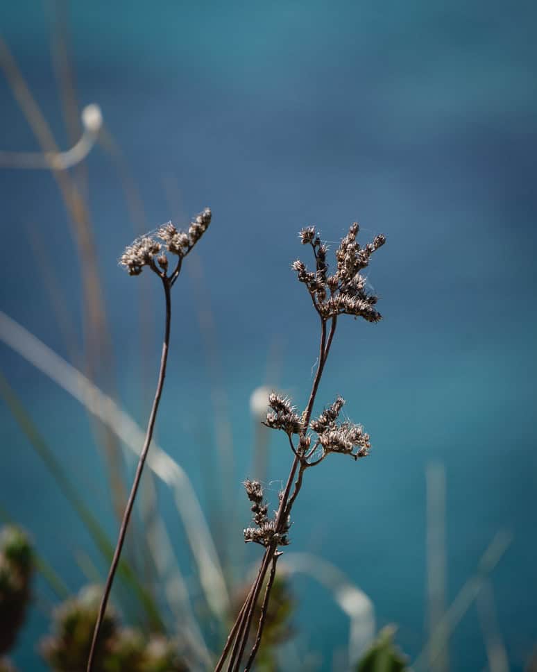 Bezoek Griekenland in de lente
