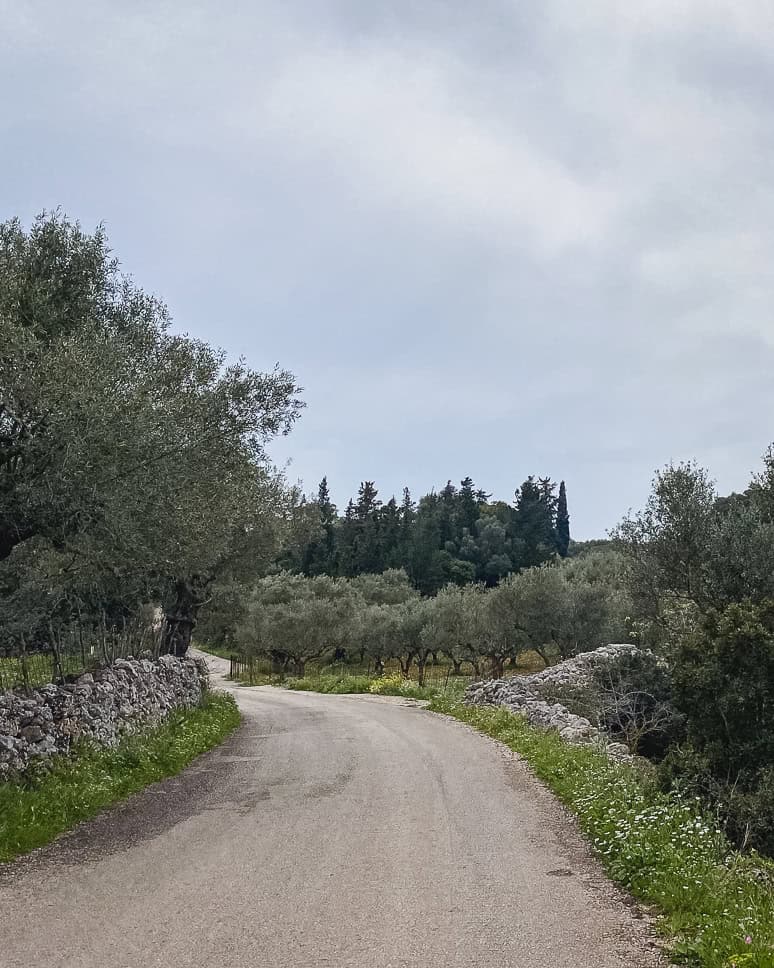 Discover the interior of Zakynthos