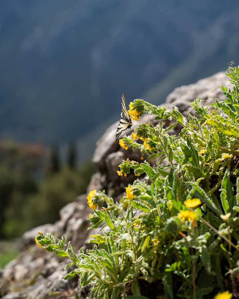 Best time to visit Delphi and Greece in Spring